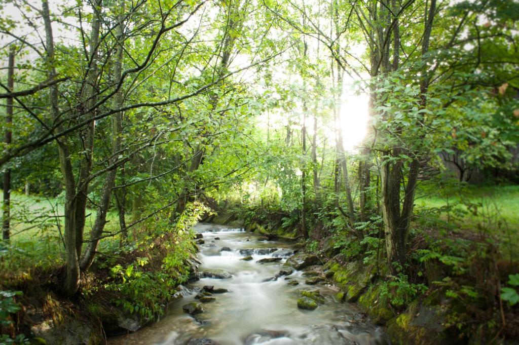 Naturhotel Ortners Eschenhof Bad Kleinkirchheim Εξωτερικό φωτογραφία