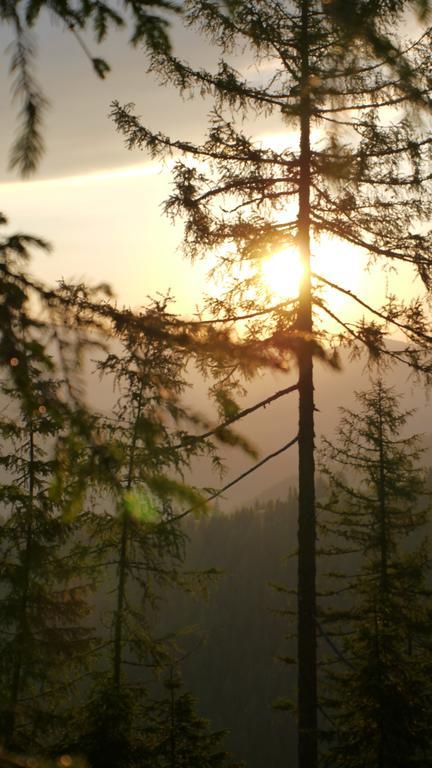 Naturhotel Ortners Eschenhof Bad Kleinkirchheim Εξωτερικό φωτογραφία